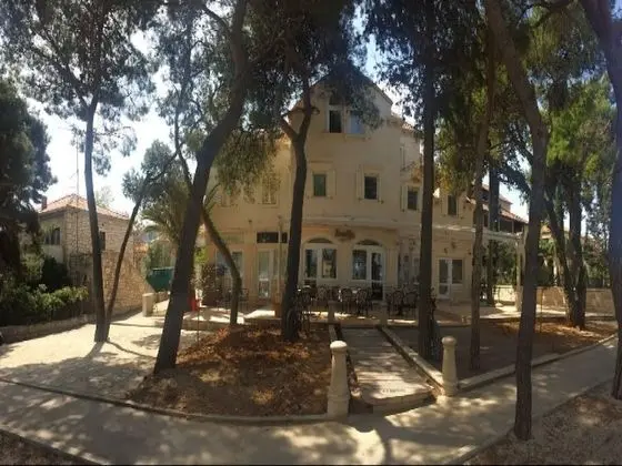 Stüdyo (Studio Apartment)