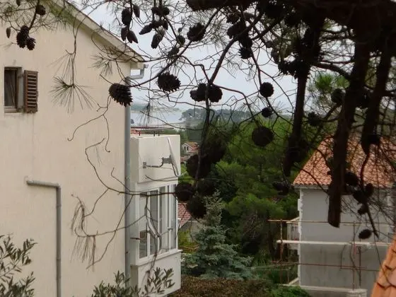 Apart Daire (3 Bedrooms)