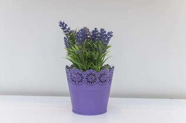 Apart Daire (Two Bedroom Apartment with Terrace)