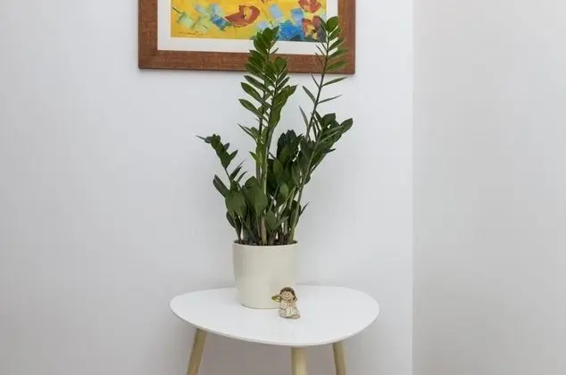 Apart Daire (Two Bedroom Apartment with Terrace)