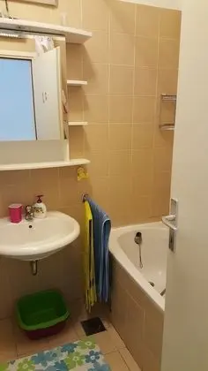 Apart Daire, 1 Yatak Odası