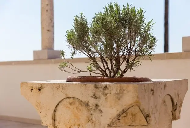 Stüdyo (Studio Apartment with Terrace and Sea)