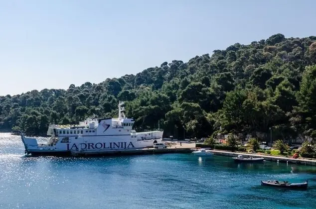 Stüdyo (Studio Apt with Terrace and Sea View)