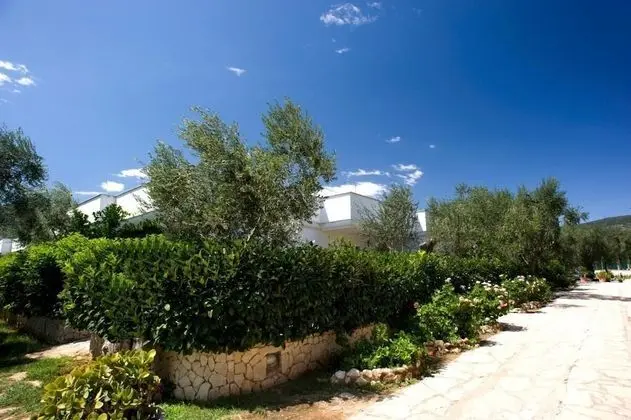 Ev, 1 Yatak Odası, Balkon