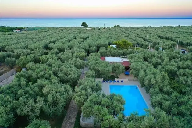 Ev, 1 Yatak Odası, Balkon