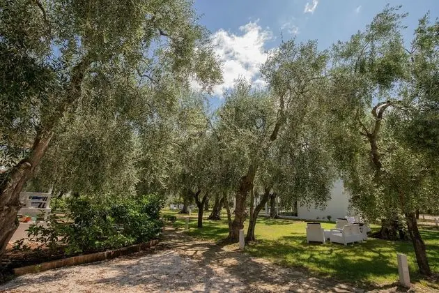 Ev, 1 Yatak Odası, Balkon