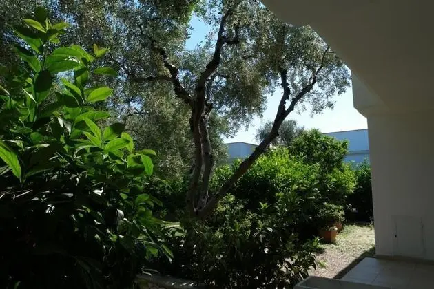 Ev, 1 Yatak Odası, Balkon