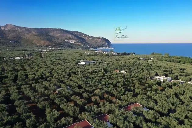 Ev, 1 Yatak Odası, Balkon