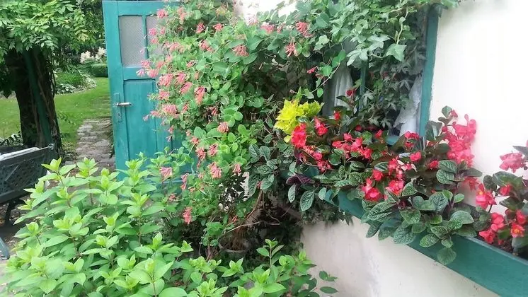 Apart Daire, 1 Yatak Odası, Şömine