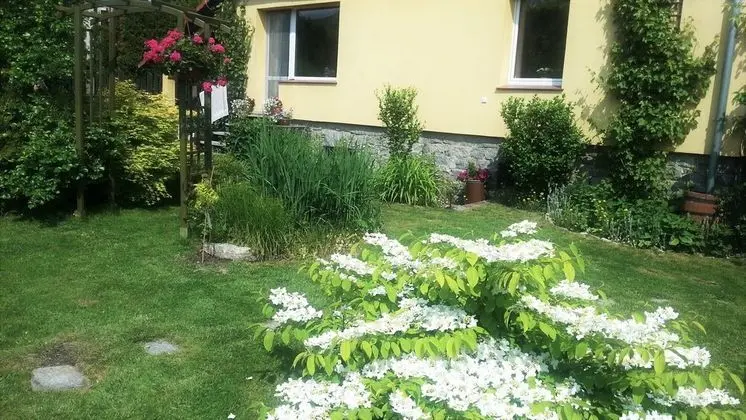 Apart Daire, 1 Yatak Odası, Şömine