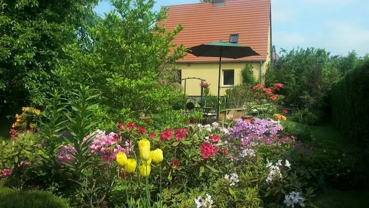 Apart Daire, 1 Yatak Odası, Şömine