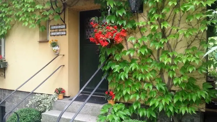 Apart Daire, 1 Yatak Odası, Şömine