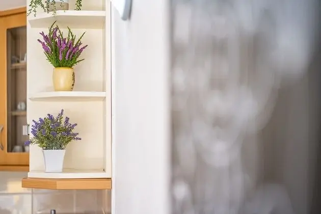 Apart Daire, 1 Yatak Odası, Havuz Kullanımı