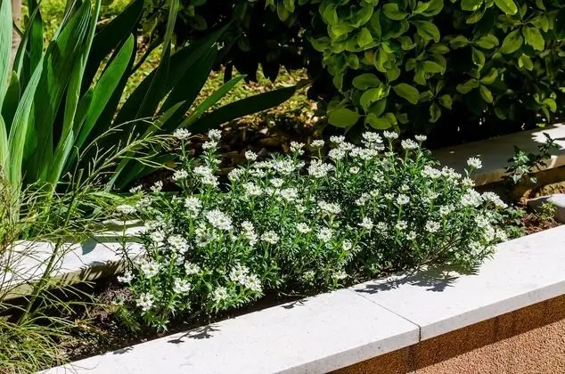 Apart Daire (One Bedroom Apartment with Terrace)