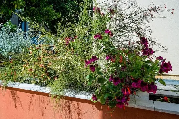 Apart Daire (One Bedroom Apartment with Terrace)