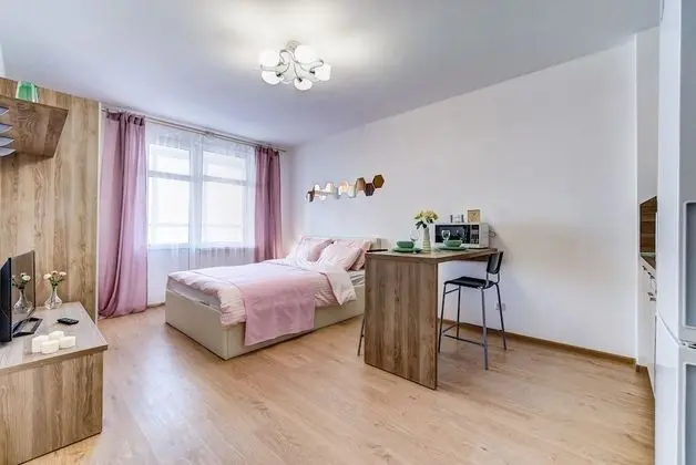 Comfort Stüdyo, 1 Çift Kişilik Yatak (389)