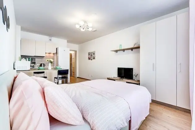 Comfort Stüdyo, 1 Çift Kişilik Yatak (389)