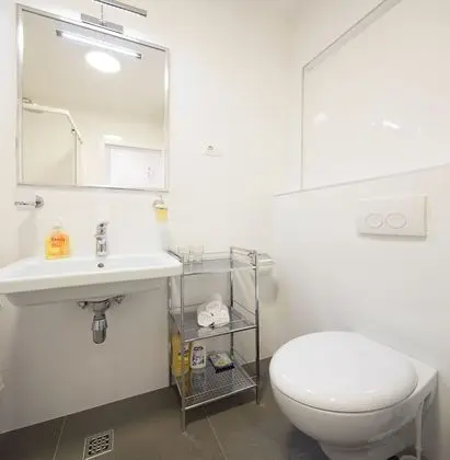 Apart Daire, 1 Yatak Odası (City center, Garage, Lift)