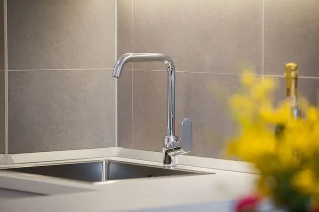 Apart Daire, 1 Yatak Odası (City center, Garage, Lift)