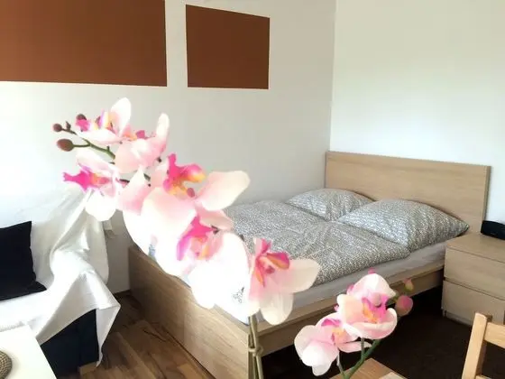 Stüdyo, Birden Çok Yatak, Balkon (incl. EUR 25 cleaning fee per stay)