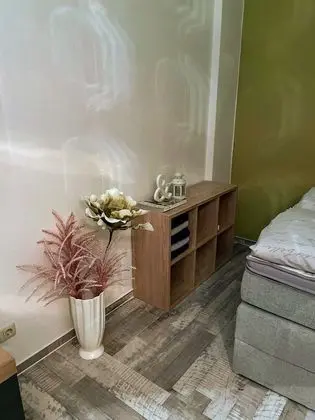 Apart Daire, Engellilere Uygun, Özel Banyo (Alte Schule)