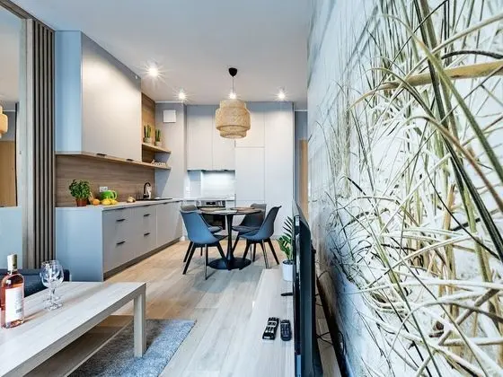 Apart Daire, 1 Yatak Odası