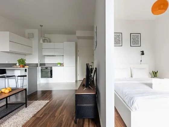 Apart Daire, 1 Yatak Odası