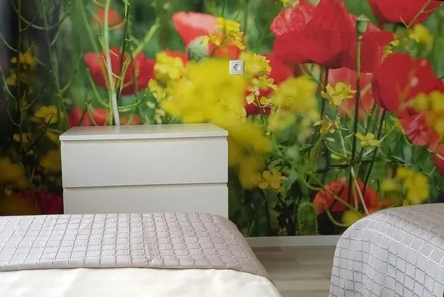 Apart Daire (kleines Hochparterre)