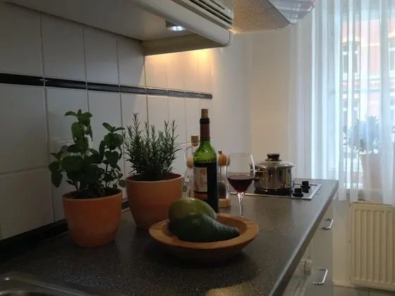 Apart Daire, 1 Yatak Odası