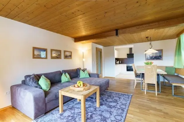 Apart Daire, 2 Yatak Odası, Dağ Manzaralı (Balkon/Terrasse;excl100€ cleaning fee)