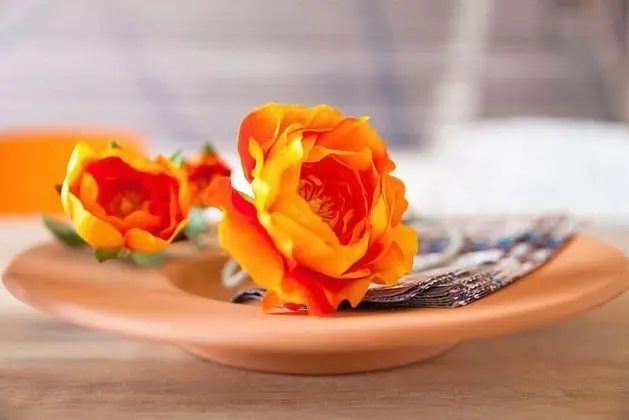 Deluxe Apart Daire (New York)