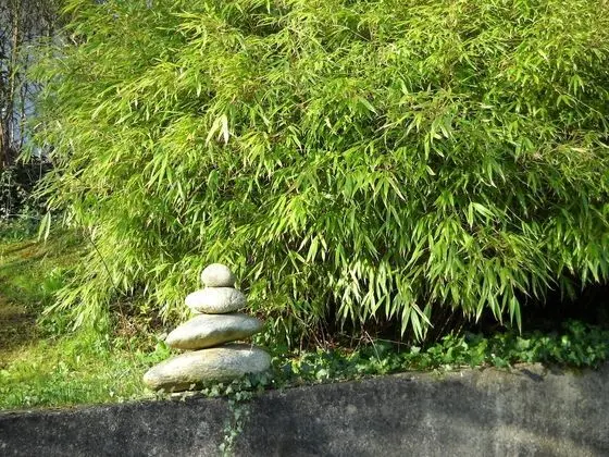 Classic Apart Daire, Engellilere Uygun, Özel Banyo (Apartment)