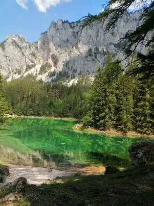 Classic Apart Daire, Engellilere Uygun, Özel Banyo (Apartment)