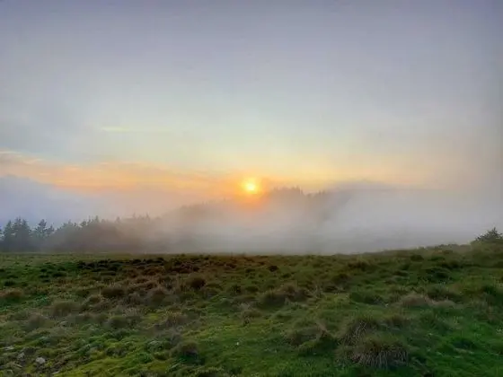 Classic Apart Daire, Engellilere Uygun, Özel Banyo (Apartment)