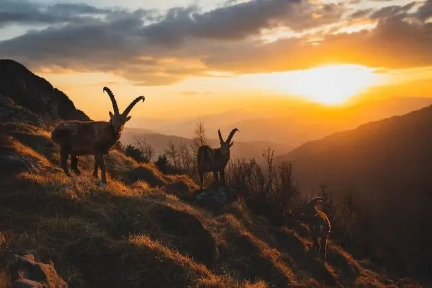 Classic Apart Daire, Engellilere Uygun, Özel Banyo (Apartment)