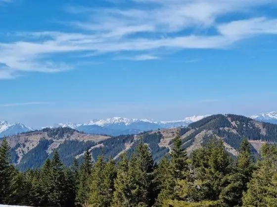 Classic Apart Daire, Engellilere Uygun, Özel Banyo (Apartment)