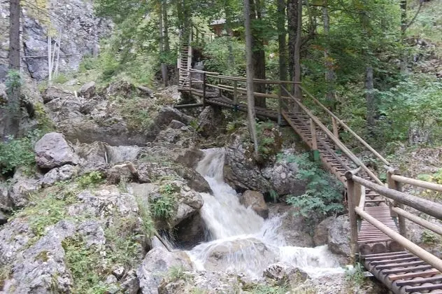 Classic Stüdyo, Engellilere Uygun, Özel Banyo