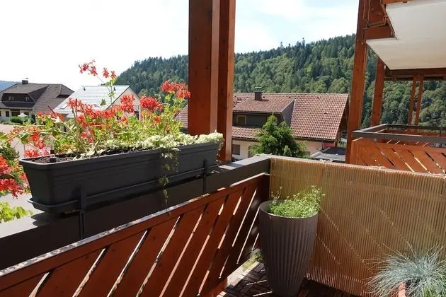 Standard Stüdyo, Özel Banyo (Ohne Schlafzimmer)