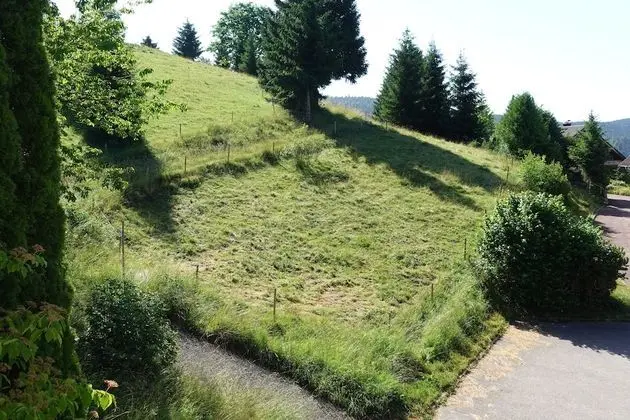 Standard Stüdyo, Özel Banyo (Ohne Schlafzimmer)