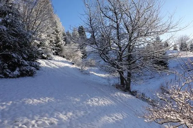 Standard Stüdyo, Özel Banyo (Ohne Schlafzimmer)