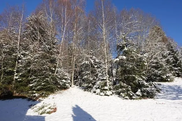 Standard Stüdyo, Özel Banyo (Ohne Schlafzimmer)