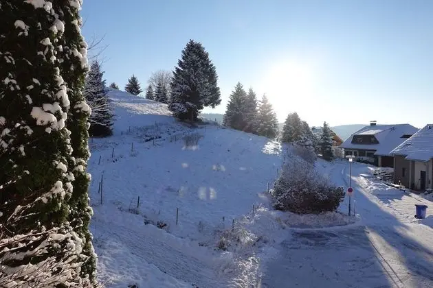 Standard Stüdyo, Özel Banyo (Ohne Schlafzimmer)