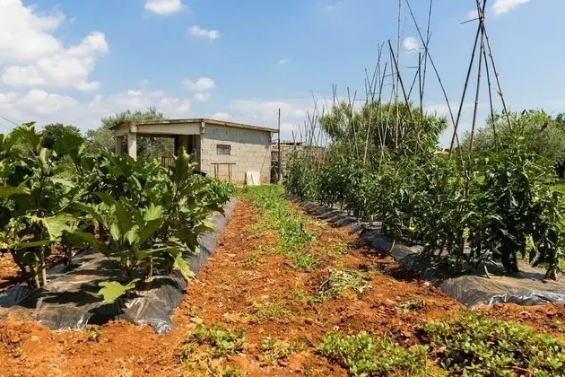 Apart Daire, Birden Çok Yatak