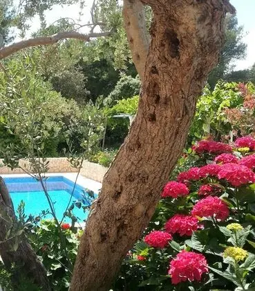 Apart Daire, 1 Yatak Odası, Zemin Kat