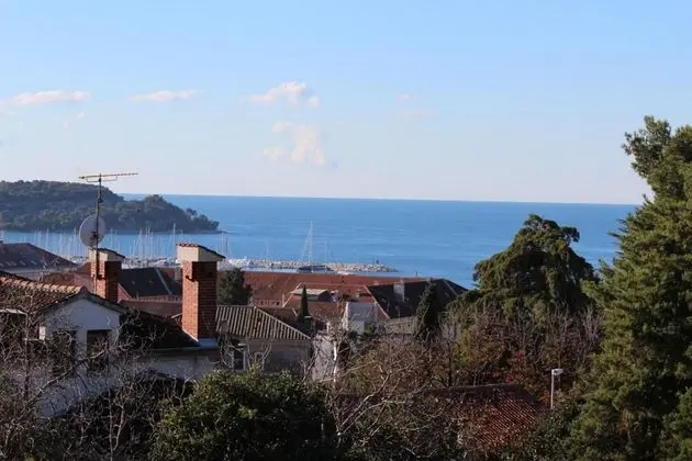 Tek Büyük Yataklı Oda, Balkon, Deniz Manzaralı