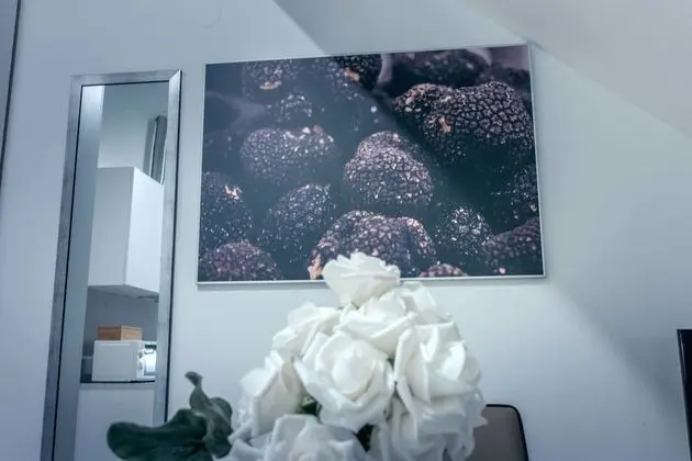 Deluxe Apart Daire (Istra)