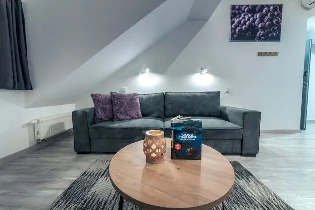 Deluxe Apart Daire (Istra)