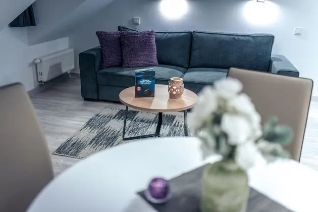 Deluxe Apart Daire (Istra)