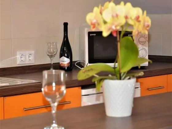 Apart Daire (Two Bedroom Apartment with shared Ter)