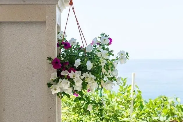 Apart Daire (Two Bedroom Apartment With Terrace)